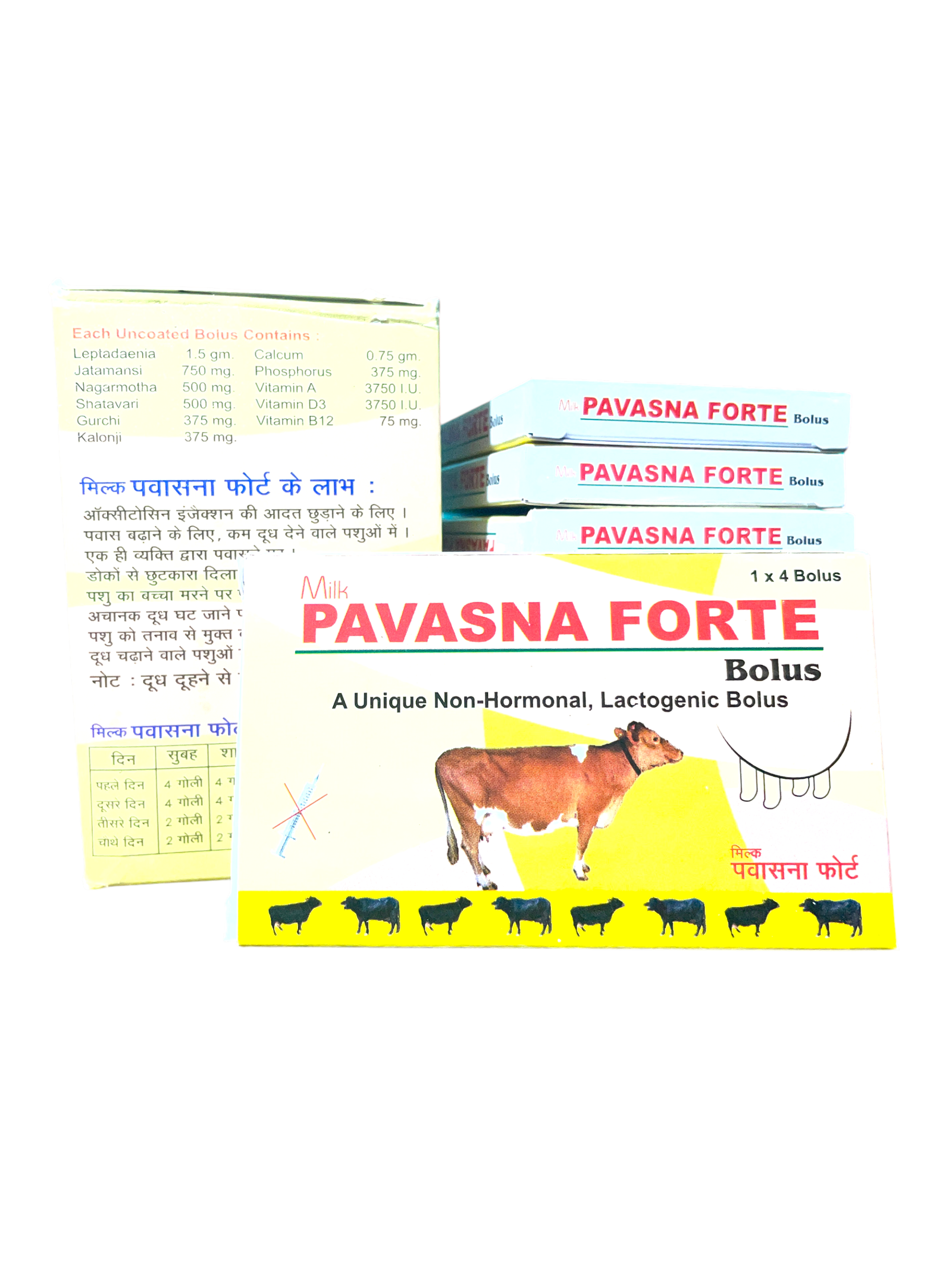 Pavasna Forte Back